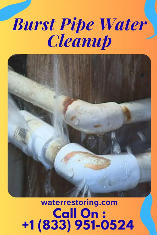 Burst Pipe Water Cleanup in Rush Center, KS
