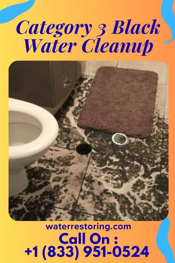 Category 3 Black Water Cleanup in Rush Center, KS