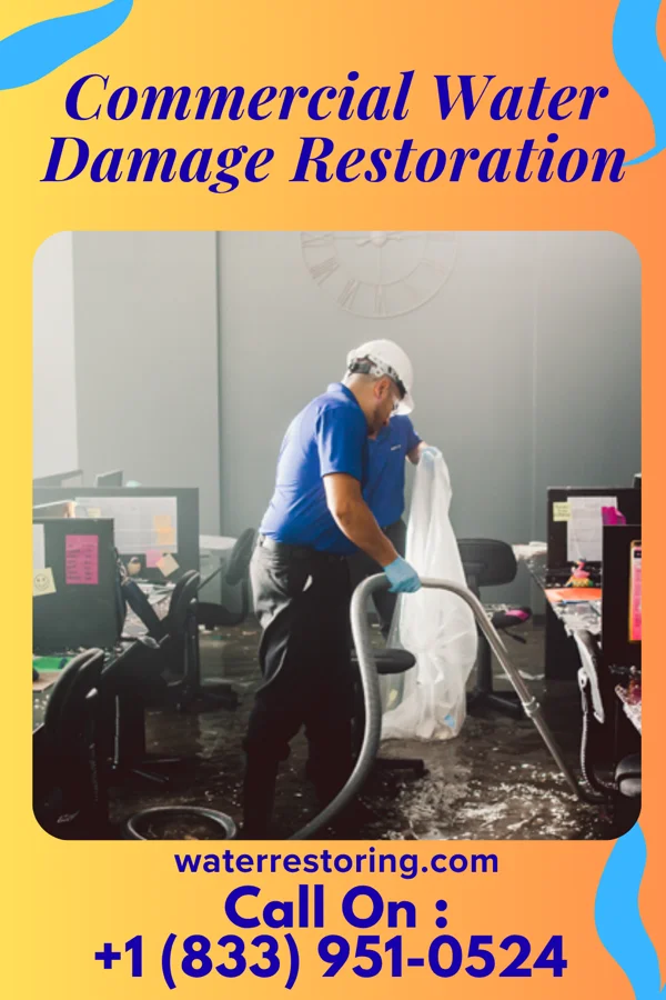 Commercial Water Damage Restoration in Rush Center, KS